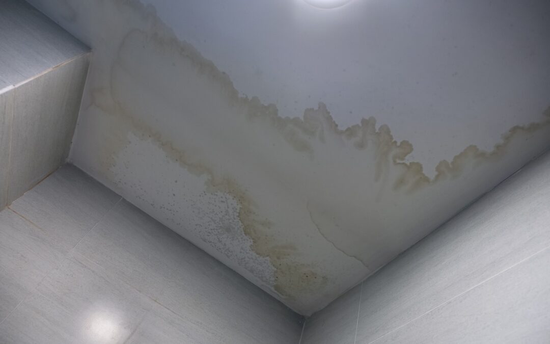 Dangers of Water Damage in Your Ceiling