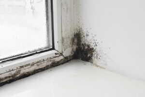 mold on the window in the house