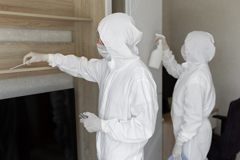 Cleaner technicians cleaning up mold