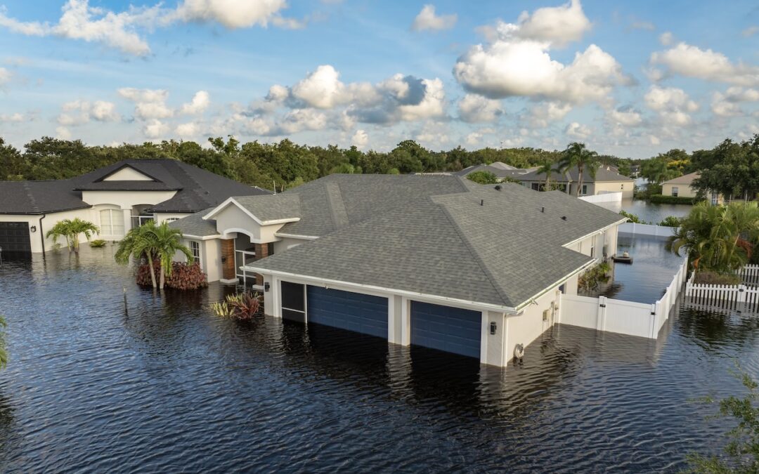 How a Water Damage Restoration Professional Can Help You Properly Recover from Flooding