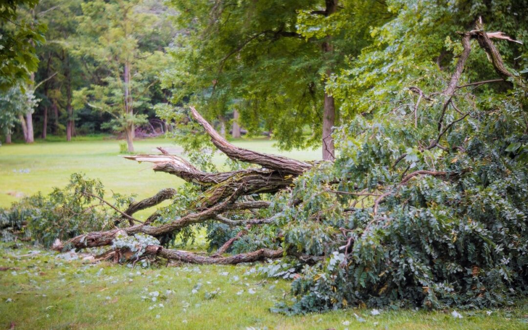 5 Things to Do After You Experience Storm Damage in Your Home