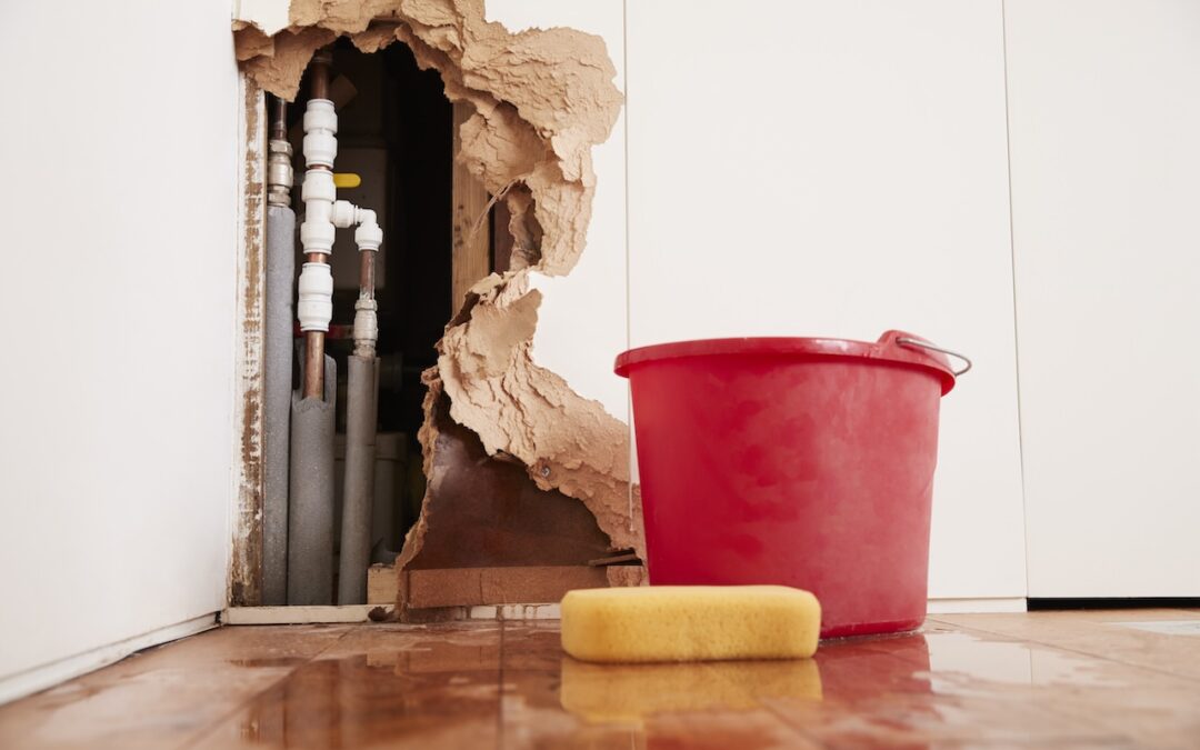 Preparing for Winter: 7 Tips on How to Fix Water Damage