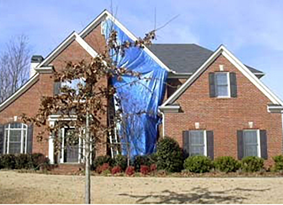 outside of white home with palm trees and green plants