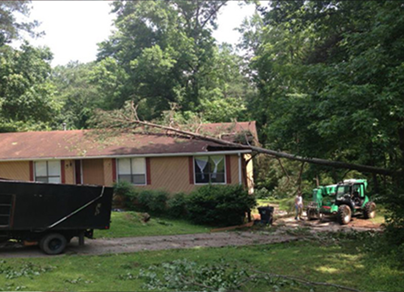 Fallen tree on home rooftop